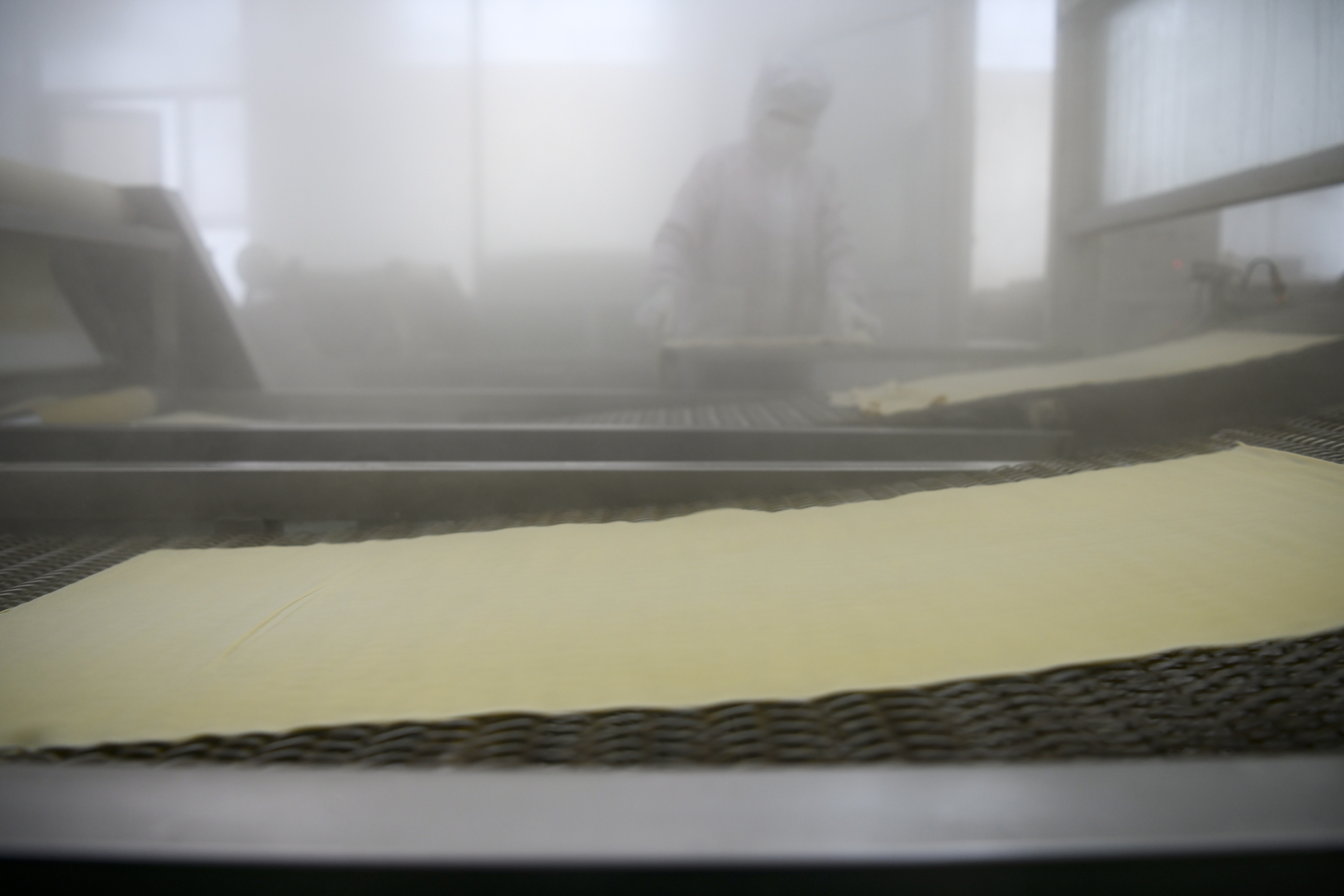 隆化县乡村振兴图片,隆化种植药材收入