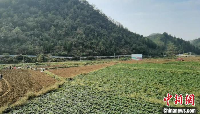 关于安顺市的乡村振兴,贵州安顺市乡村振兴的图片