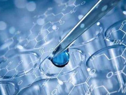 2021年11月24日热点新闻,今晨新闻热点大事件