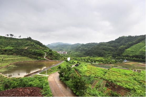 金恪集团以践行社会责任为己任,金恪集团营收