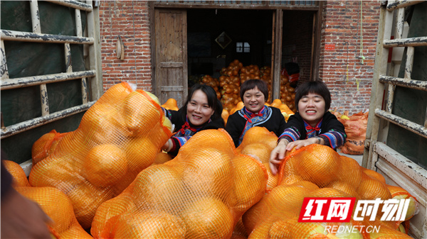 江永香柚黄,江永香柚好吃吗