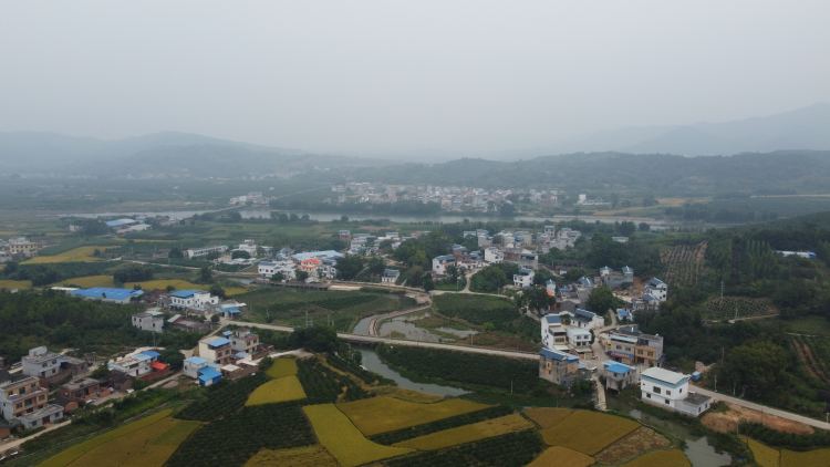 运江镇三里村：从村史小馆看乡村巨变