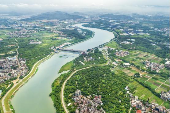 让一湾碧水成为家门口最好的风景——广州河长制5周年成效巡礼（4）