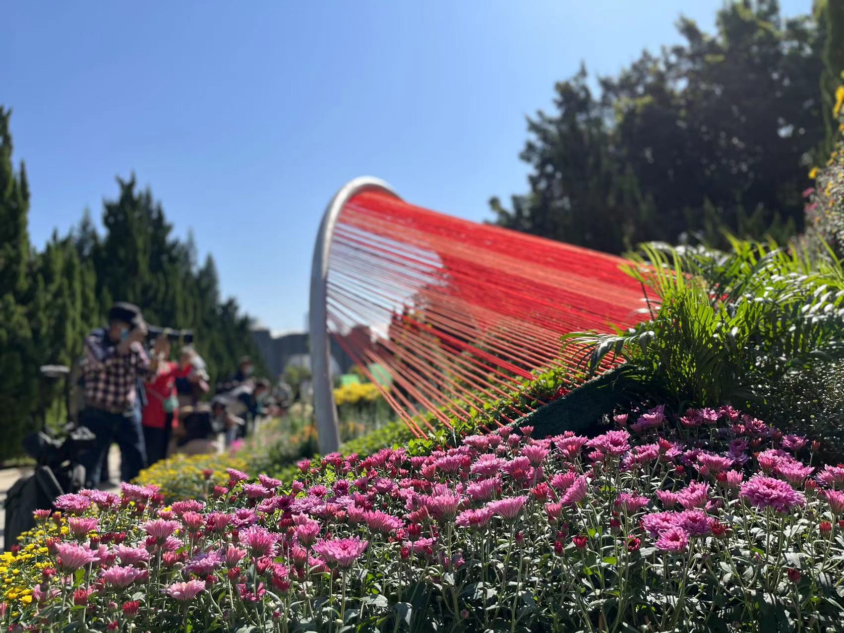 黄花岗赏菊,2023黄花岗公园菊花展时间表