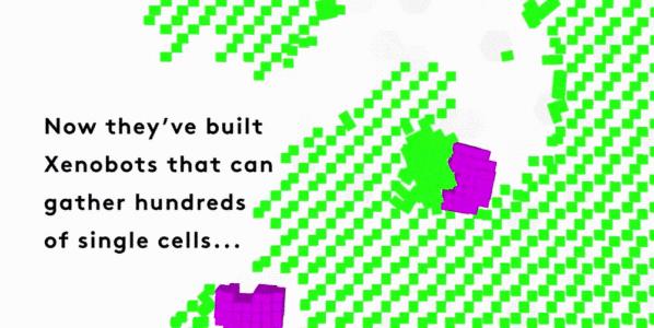 全球首例活体机器人生娃,能生娃的机器人有卵子吗