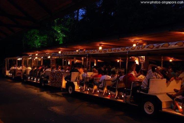 新加坡夜间动物园晚餐,新加坡夜间动物园附近美食