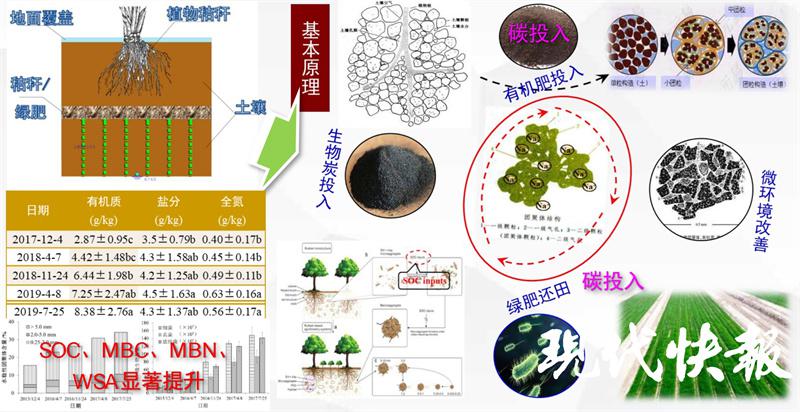 土壤盐多了怎么处理,土壤里含盐太高怎么办