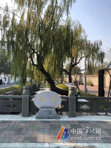 我的月湖记忆｜王国安：坐与湖畔观虚盈