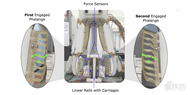 斯坦福机器人进化,斯坦福机器人跳跃