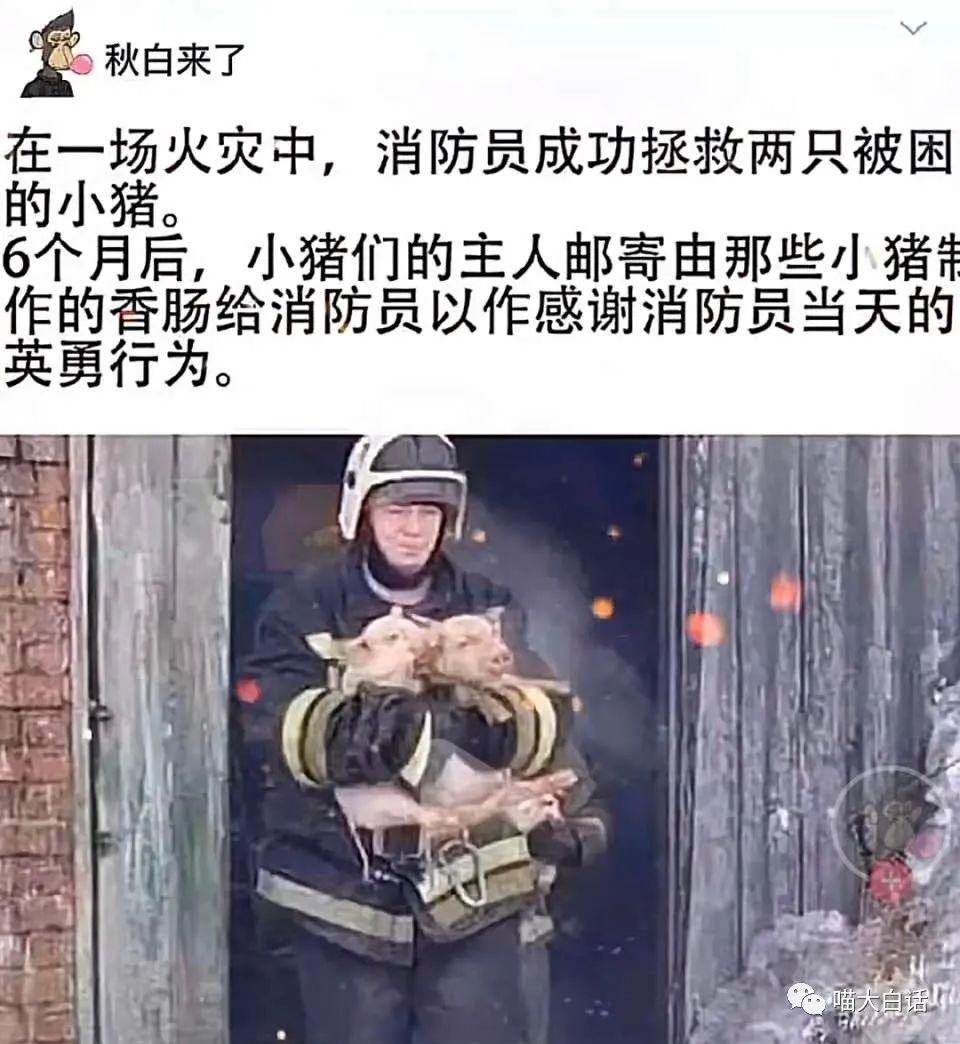 高情商回复男人聊天技巧语录,聊天也这么幽默高情商回复