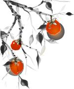 你没见过的海洋景观,你没见过的蓝色的海