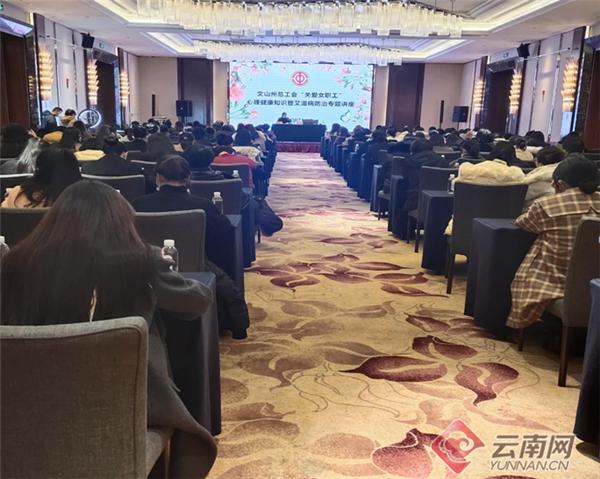 文山州总工会组织开展女职工心理健康暨艾滋病防治知识专题讲座