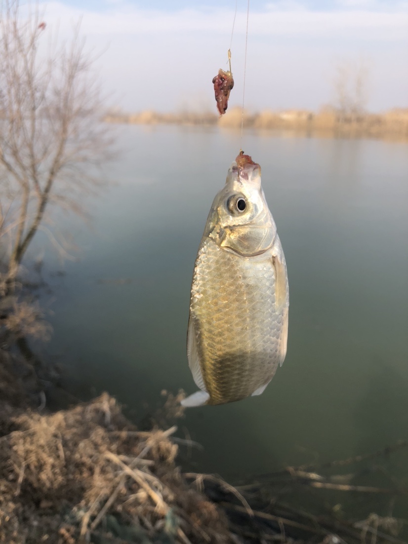 冰钓沉浸式体验,第一次体验冰钓视频