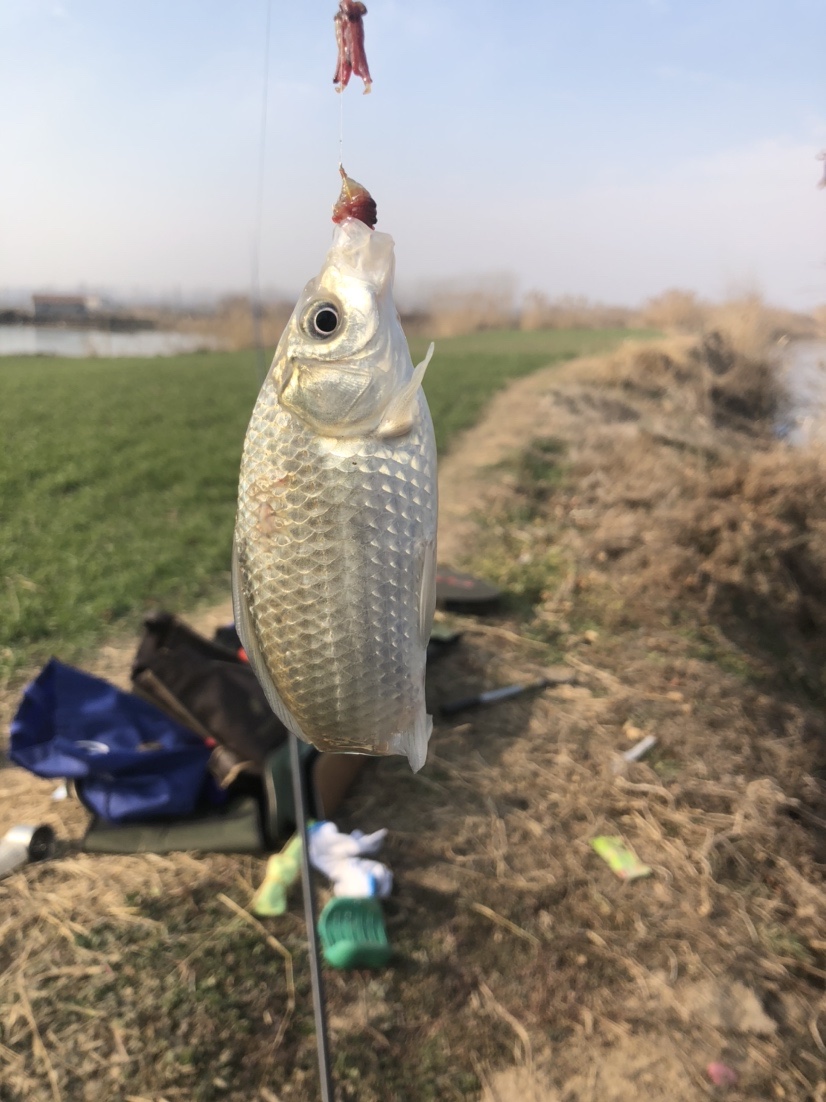 冰钓沉浸式体验,第一次体验冰钓视频