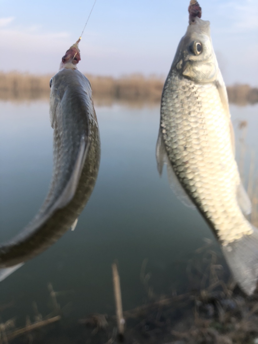 冰钓沉浸式体验,第一次体验冰钓视频