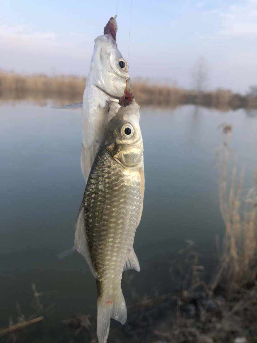 冰钓沉浸式体验,第一次体验冰钓视频