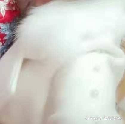 千元羽绒服被洗衣店洗坏,上千元的羽绒服能用洗衣机洗吗