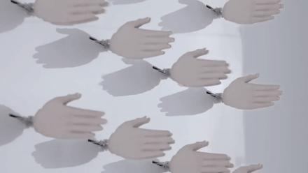 24只假手集体“为爱鼓掌”，疯了？