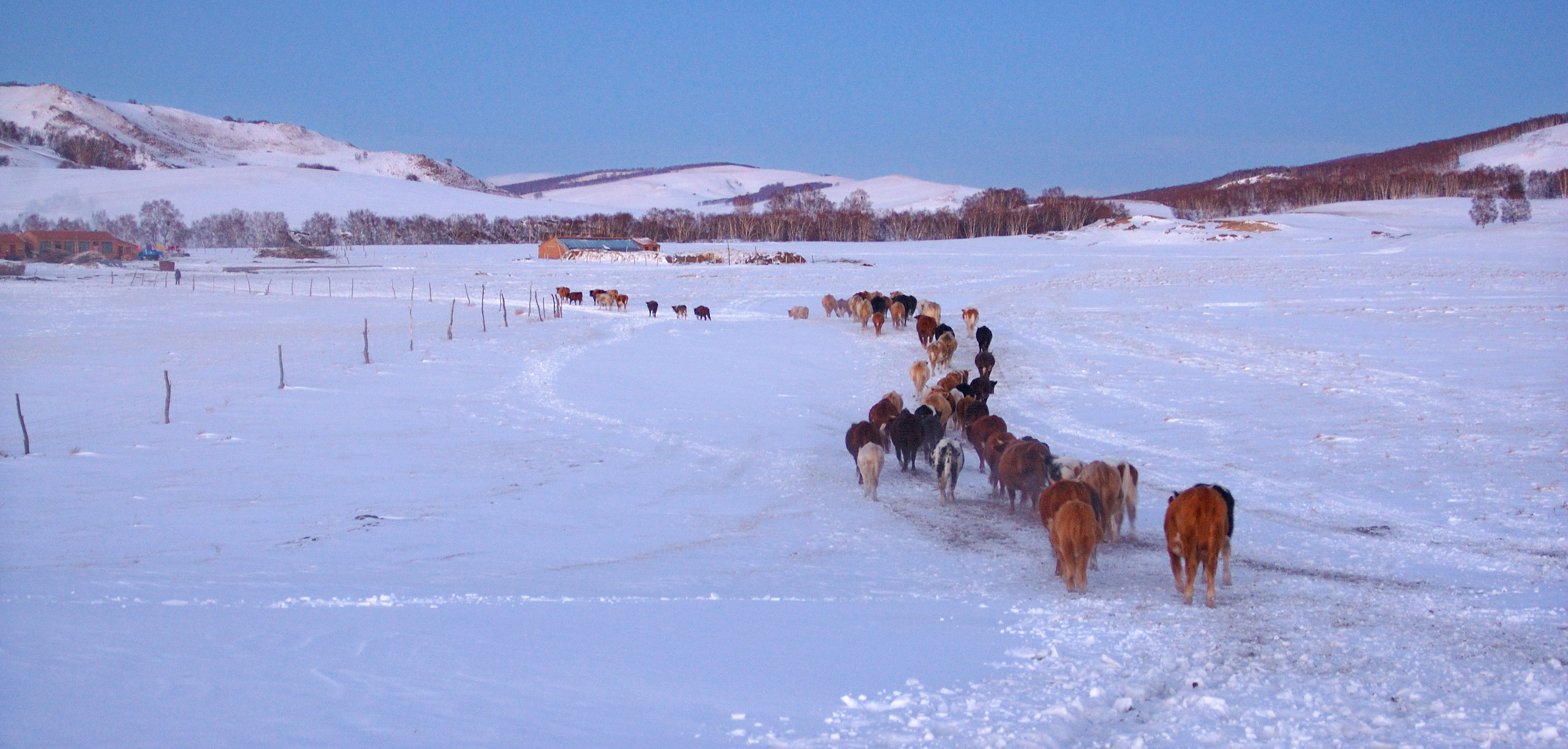 冰雪旅游文旅,文旅部全国十条冰雪旅游精品线路