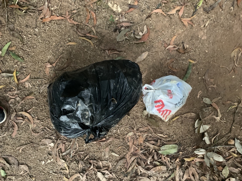 野钓鲫鱼爆护的最佳方法,冬季野钓鲫鱼小鱼闹窝严重怎么办