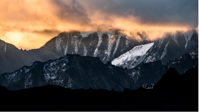 超越界限——索尼Alpha1使用体验