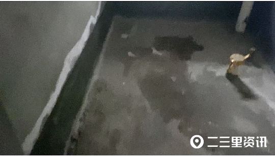 买房地下储藏间下雨漏水,新房收房后发现房屋漏水怎么办