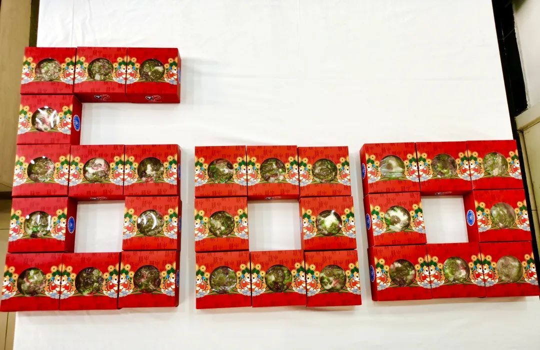 这一年，TA为什么这样红？解锁“600号”的流量密码