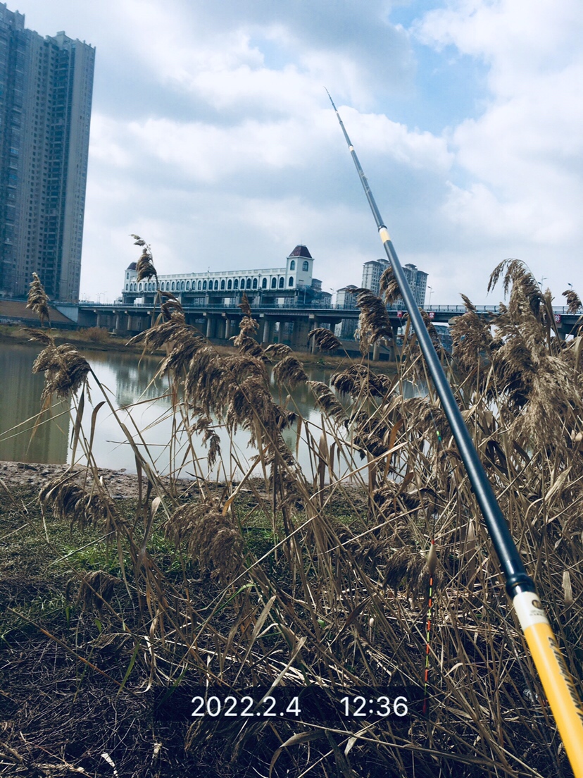 用老婆的菜篮子装新年的第一“金”