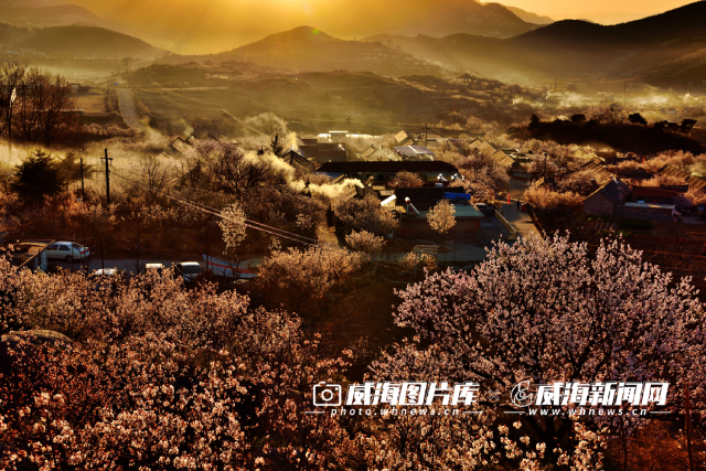 故事中的威海序言,威海故事