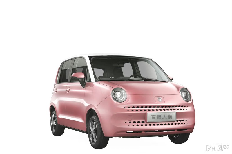 百智大猫最新消息,百智大猫滨州有没有店