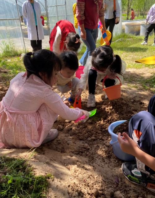快讯！春来种藕夏赏莲庐山植物园专家教广电小记者种碗莲