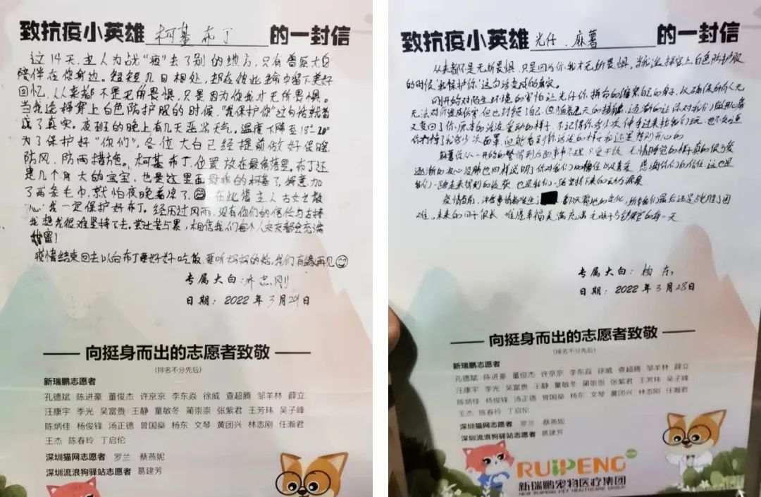 宠物方舱,宠物方舱真相在哪