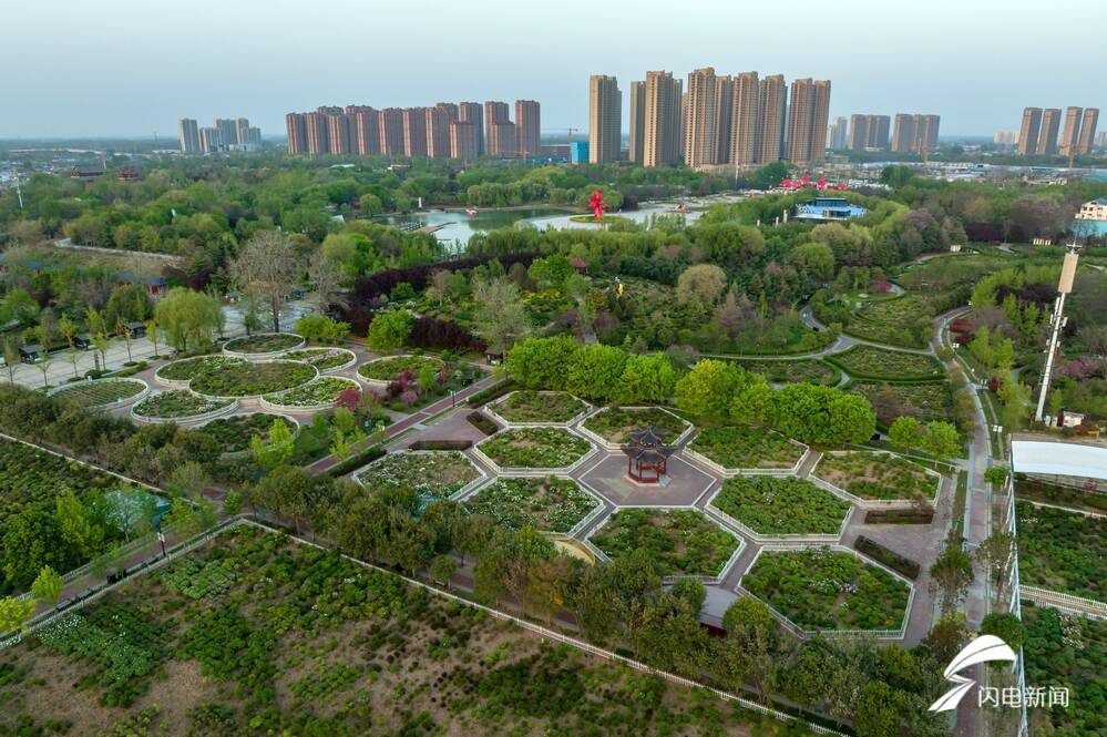 菏泽百花争艳惹人醉,菏泽最著名的牡丹花有什么