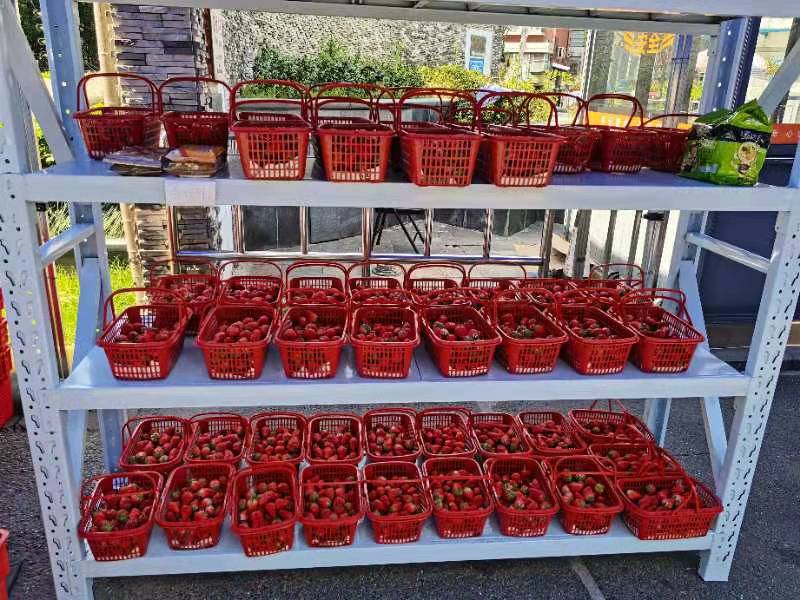 一个“上海团长”的封控23日：比工作累，订购物资自己垫钱，对这座城市还是充满期待