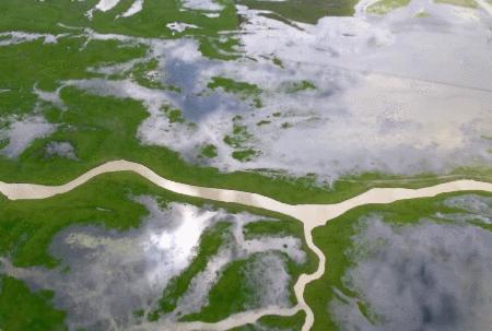 中国人独有的浪漫纪录片,中国人特有的浪漫纪录片