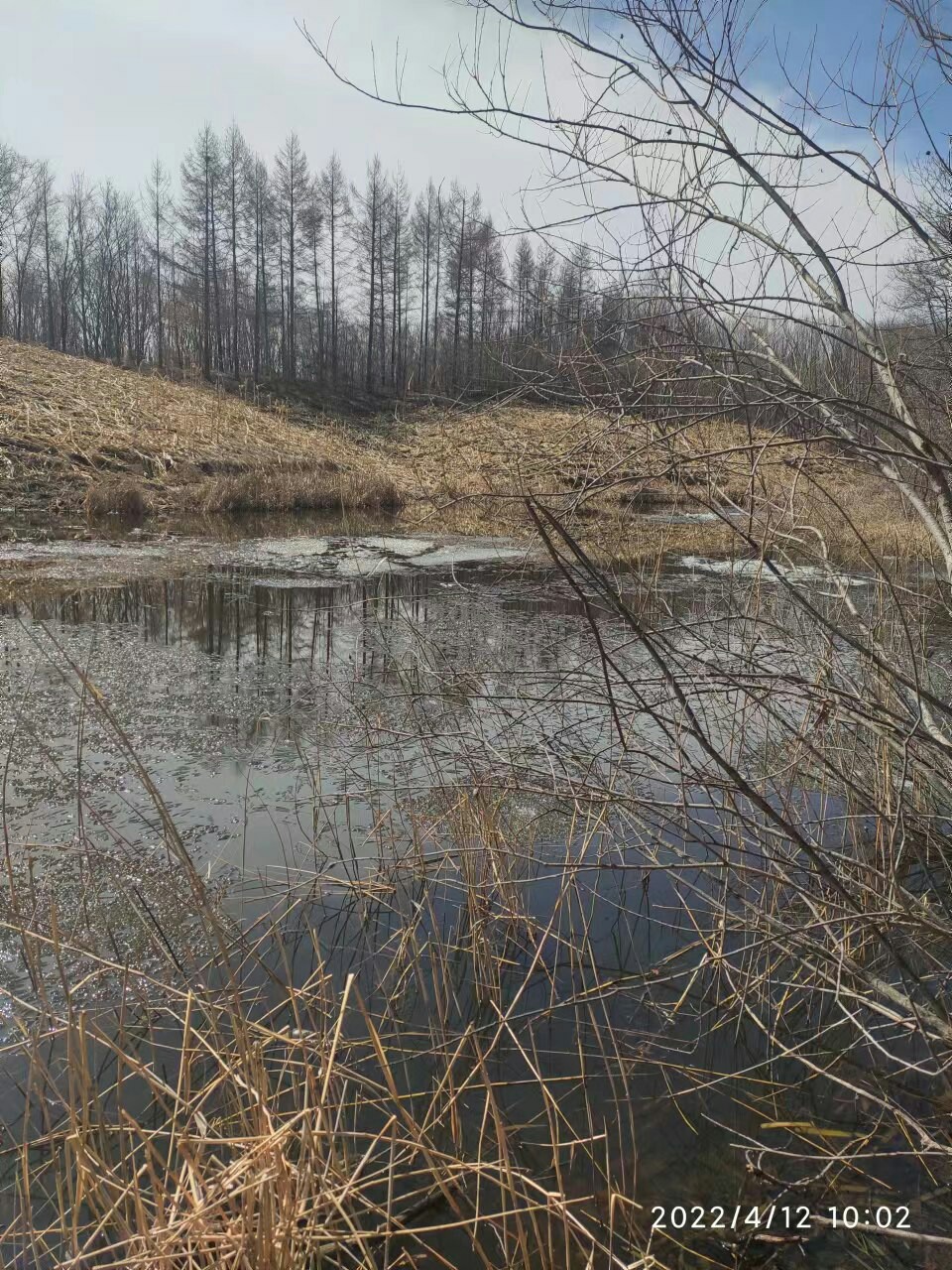 赶个晚潮流完整版,普通野钓罗非超细尾浮漂推荐
