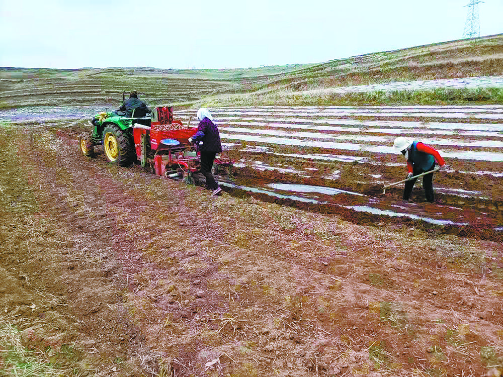 春风唤来燕归巢,春风吹暖燕归巢
