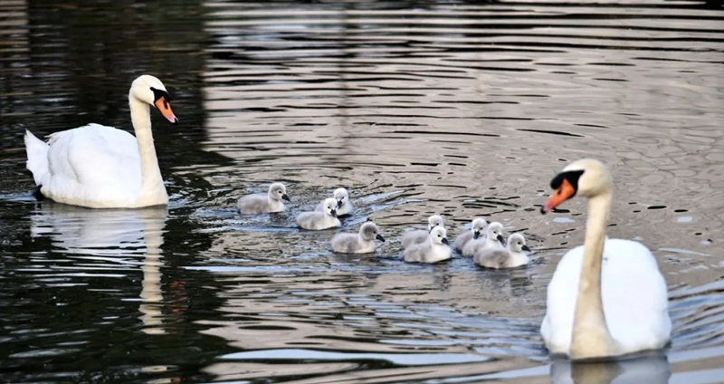 郑州周末自驾游好去处,郑州西三环游玩好去处都有哪些