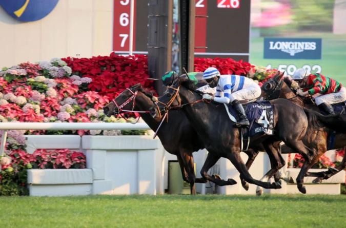 2023年香港100公里越野赛奖金,2024香港100公里越野赛奖金