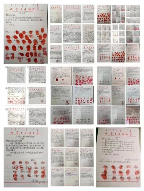 新时代的中国青年是什么模样,新时代的中国青年