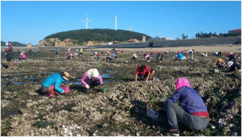 长海县旅游攻略海滩,长海县海岛赶海地点推荐