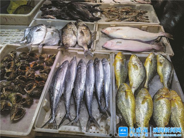 休渔期水产品行情如何,休渔期将至海鲜市场火爆