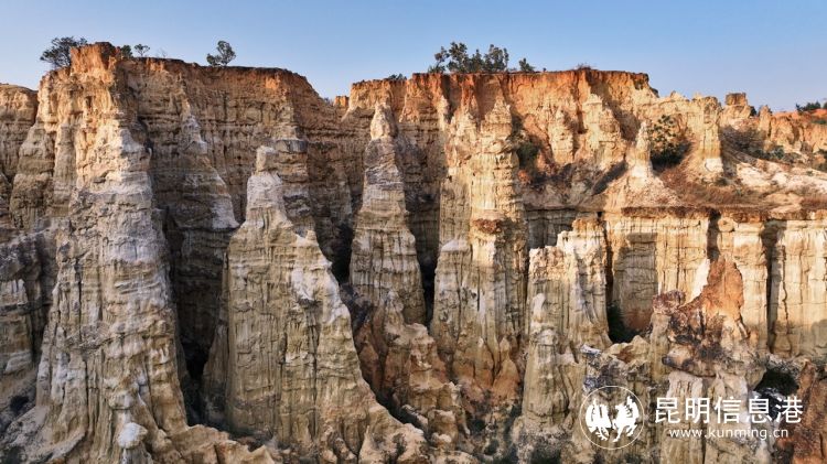 遇见楚雄直播回放,遇见楚雄现场直播