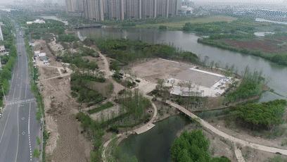 浙江平湖东方公园,动静皆相宜图片