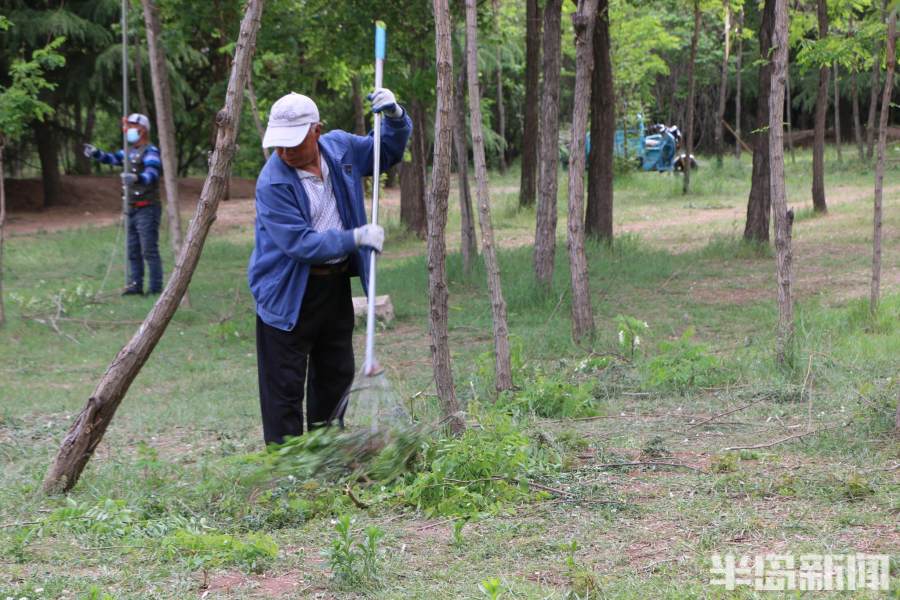 最美味的槐花,好吃又美味的槐花