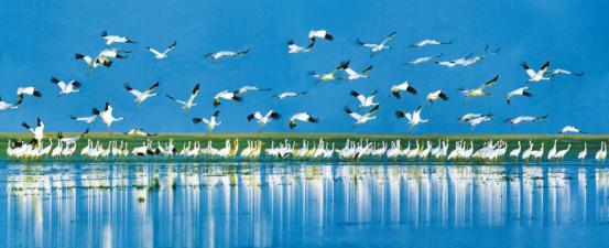 江西是好地方山清水秀人更美,大美江西景色秀