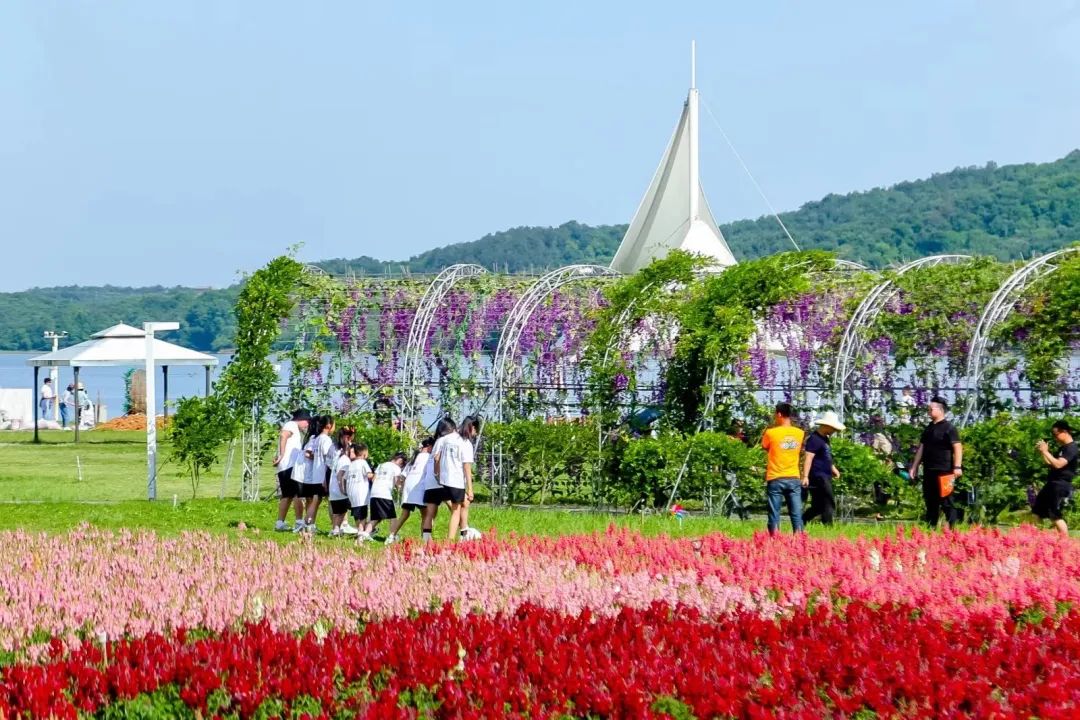 2021中国旅游日景点优惠政策,今日荆州旅游景点