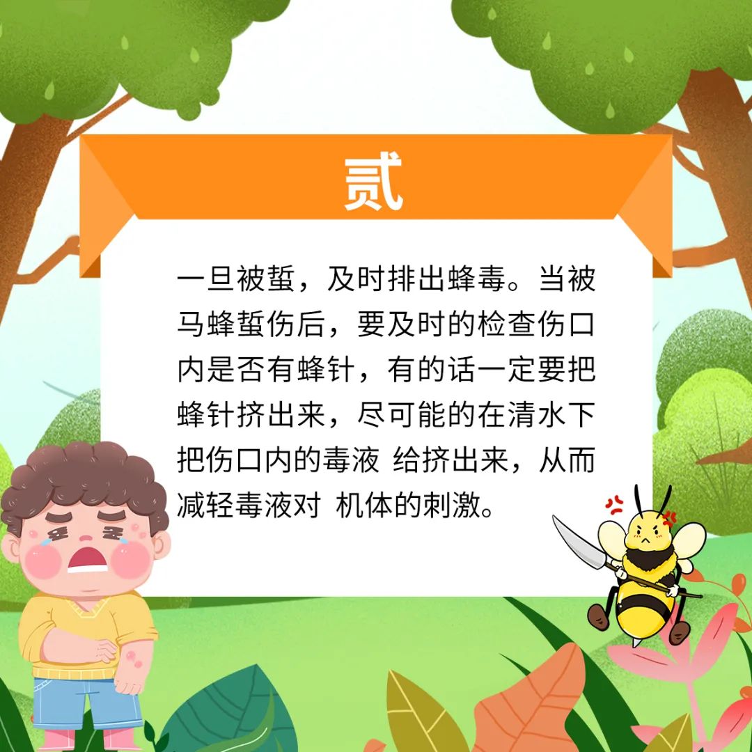 马蜂窝最佳驱蜂方法,马蜂窝的正确驱蜂方法