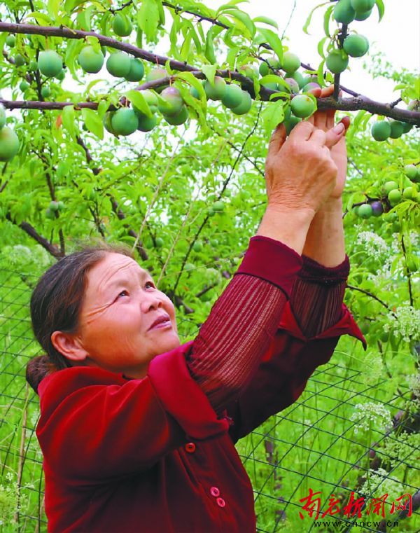住进新房子过上好日子,搬新房子的好日子