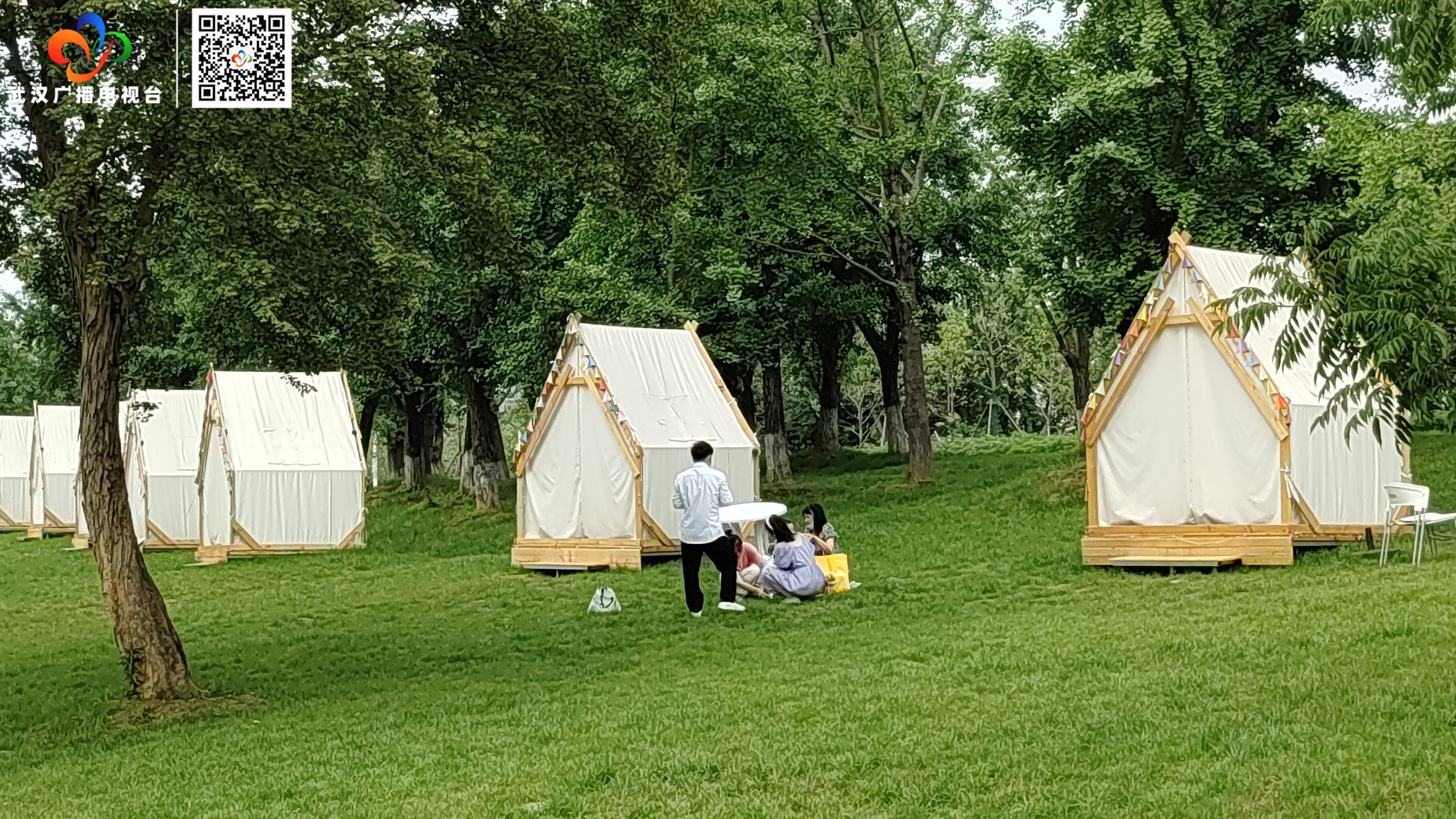 东湖马鞍山森林公园花海盛放迎客来